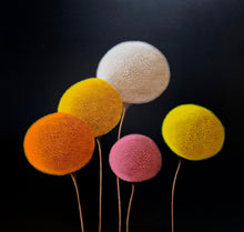 Load image into Gallery viewer, Bouro, L.B2026 Fleurs5, 2026