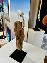 Charger l'image dans la galerie, B.FOURMY, Silence léger, 2026
